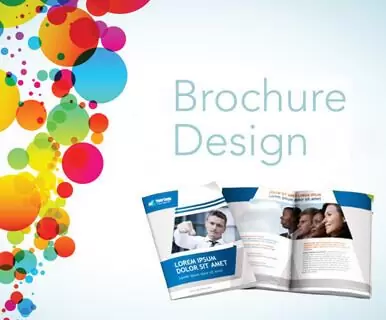 Brochure, Catalogue Designing in Delhi