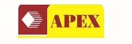 Apex Financial and Marketing Services