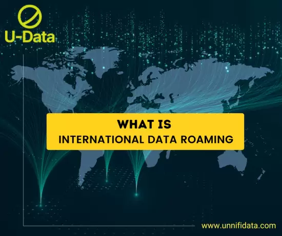Rs 48.618 What is international data roaming?