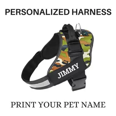 ₹ 599 Alcazar personalized dog harness leash combo set