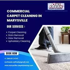 Affordable and Reliable Commercial Carpet Cleaning